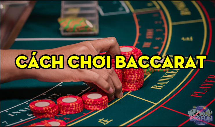 Cách chơi Baccarat cơ bản