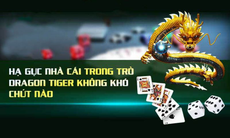 rồng hổ online